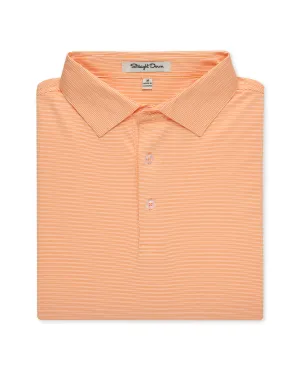 Aberdeen Polo