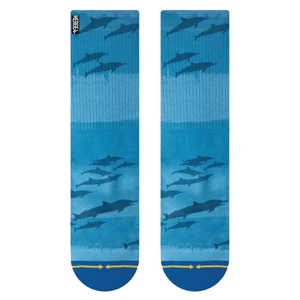 Dave Nelson Dolphins