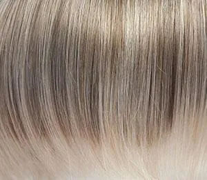 Joss Wig by Rene of Paris | Synthetic Lace Front (Lace Part)